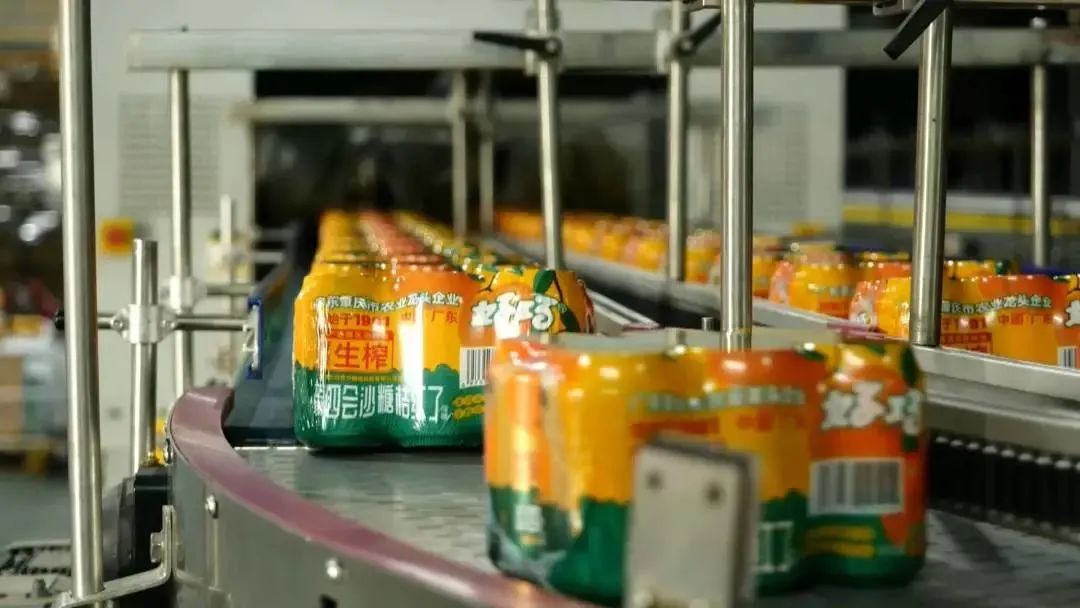 四会好巧牌沙糖桔系列饮料热销广东省外市场