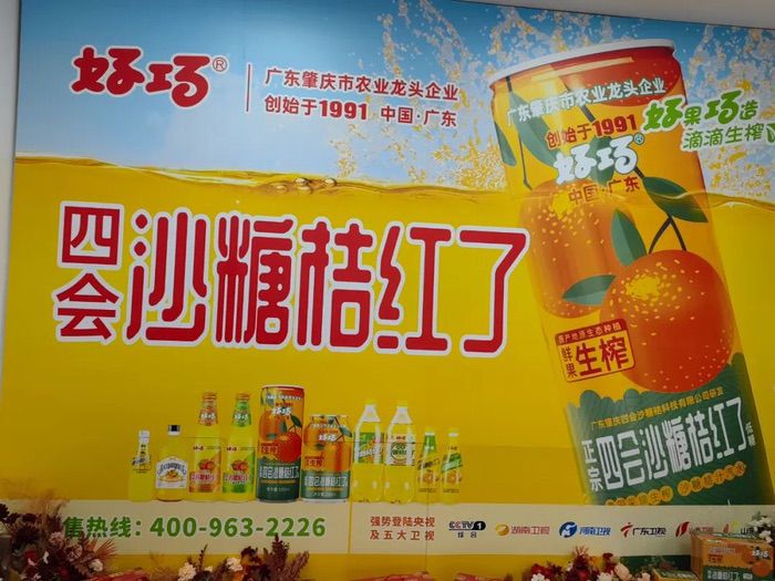 品牌大旺 | 做强做大沙糖桔产业，好巧奏响品牌更强音！