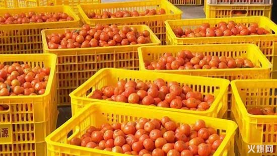 经销商请注意,夏季饮料大战开锣,好巧开启“冰爽行动”!